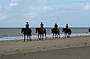 Cape Trib Horse Rides (11 am)