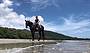 Cape Trib Horse Rides (11 am)